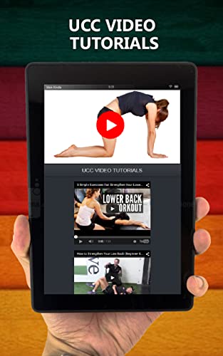 A+ How To Strengthen Lower Back - Exercise & Relieve Pain A+ How To Strengthen Lower Back - Exercise & Relieve Pain