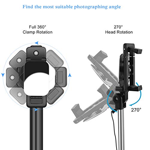 Abafia Palo Selfie, Selfie Stick Monopie Mini con Cable para iPhone X / 8 / Samsung A6 / S9 / S8 / Huawei Mate 9 / P20 / Honor 8 y Otros Teléfonos en Android o Sistema iOS (3.5-6.0'') Negro