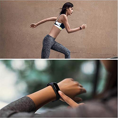 Acalder 12 Piezas Correas para Xiaomi Mi Band 4 /Mi Band 3 Pulsera Reloj Silicona Banda para Mijia Mi Band 4-12 Colores Acalder 12 Piezas Correas para Xiaomi Mi Band 4 /Mi Band 3 Pulsera Reloj Silicona Banda para Mijia Mi Band 4-12 Colores