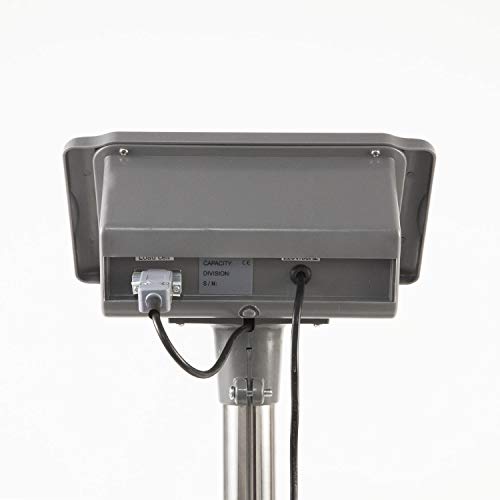 Accurex Báscula Industrial de Plataforma RX-150S (150 kg / 20 g, Plataforma de Pesaje 30 x 40 cm)