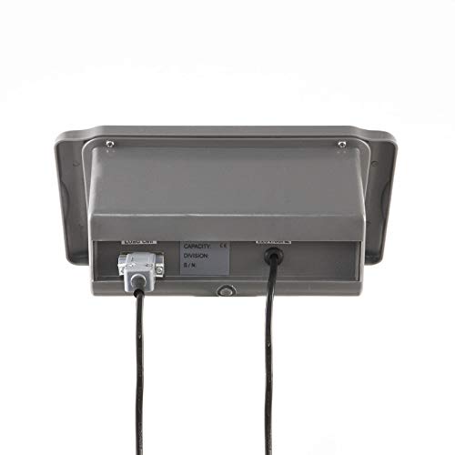 Accurex Báscula Industrial de Plataforma RXT-60S (60 kg / 10 g, Plataforma de Pesaje 40 x 30 cm)