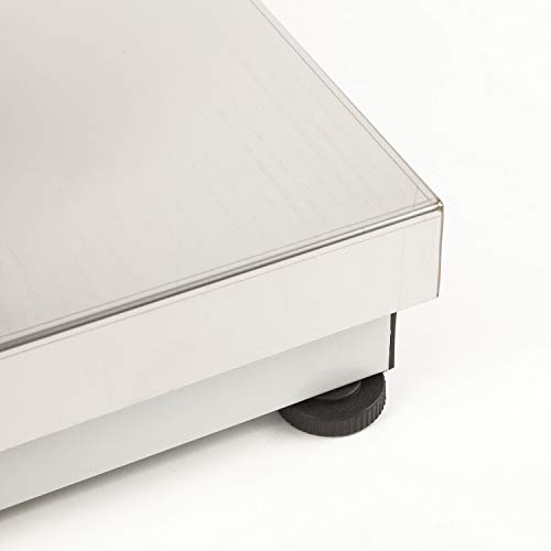Accurex Báscula Industrial de Plataforma RXT-60S (60 kg / 10 g, Plataforma de Pesaje 40 x 30 cm)