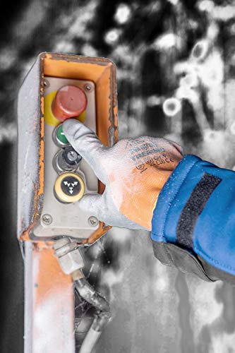 ACE Frost Thermo Guantes de Protección Térmica contra el Frío - Guantes de Invierno - Multiusos - Impermeable - Revestimiento de Látex - 8/M ACE Frost Thermo Guantes de Protección Térmica contra el Frío - Guantes de Invierno - Multiusos - Impermeable - Revestimiento de Látex - 8/M
