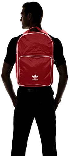 adidas Bp Cl Adicolor, Mochila Unisex Adultos, Rojo (Buruni), 24x36x45 cm (W x H x L)