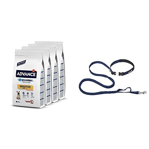 ADVANCE Sensitive Mini - Pienso para Perros de Razas Pequeñas con Sensibilidades Digestivas con Salmón y Arroz - Pack de 1,5kg X 4 -Total 6kg + Correa Elastica Running de Regalo