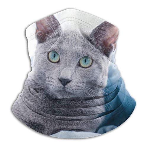 AEMAPE Escudo de polaina del calentador del cuello del pañuelo a prueba de viento del gato ruso azul - Para hombres, mujeres, esquí, equitación, correr