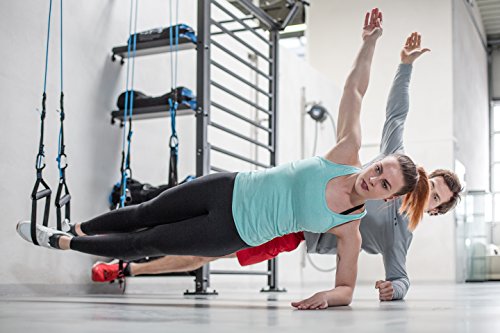aeroSling Elite Plus, Sling Trainer professionale con puleggia, Entrenador de suspensión con fissaggio per porta, DVD-online, poster aeroSling Elite Plus, Sling Trainer professionale con puleggia, Entrenador de suspensión con fissaggio per porta, DVD-online, poster
