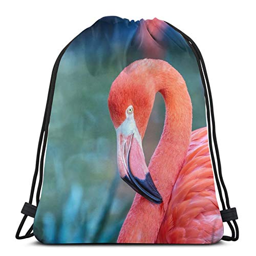 Affordable shop Mochila ligera con cordón y diseño de pájaros flamencos, con texto en inglés, ideal para ir al gimnasio, viajes, yoga, para senderismo, natación, playa