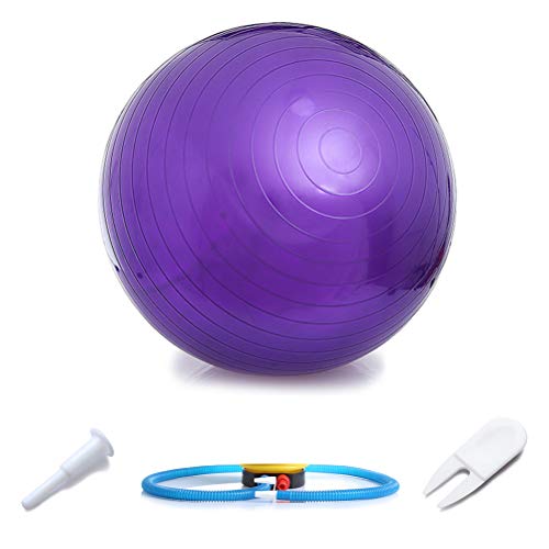 Ahagut Pelota de Ejercicio Gruesa Anti-explosión para Pilates, Yoga, Fitness, Estabilidad y Fisioterapia, Pelota de Pilates con Pajita Inflable (púrpura, 65 cm)