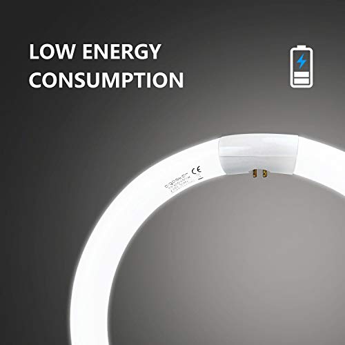 Aigostar 185725 T9, Tubo Circular Fluorescente 32W, luz fria 6500K, 220-240V, 2100lm, 50Hz, No regulable, 30cm Aigostar 185725 T9, Tubo Circular Fluorescente 32W, luz fria 6500K, 220-240V, 2100lm, 50Hz, No regulable, 30cm