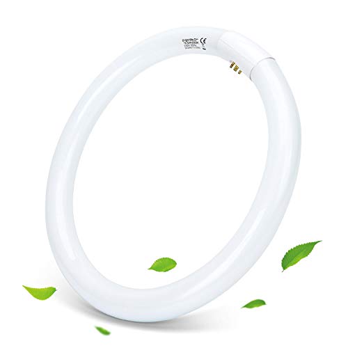 Aigostar 185725 T9, Tubo Circular Fluorescente 32W, luz fria 6500K, 220-240V, 2100lm, 50Hz, No regulable, 30cm Aigostar 185725 T9, Tubo Circular Fluorescente 32W, luz fria 6500K, 220-240V, 2100lm, 50Hz, No regulable, 30cm