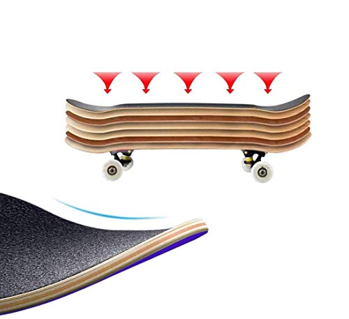 AIKENR Patineta de cuatro ruedas para principiantes, 31.5 pulgadas, 7 capas, arce canadiense, doble patada cóncava estándar y trucos para niños y principiantes (Z) AIKENR Patineta de cuatro ruedas para principiantes, 31.5 pulgadas, 7 capas, arce canadiense, doble patada cóncava estándar y trucos para niños y principiantes (Z)