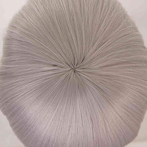 Ailin Online Blend S Hideri Kanzaki plata gris largo recto Pelucas Cosplay traje Pelo sintético para Halloween Fiesta Ailin Online Blend S Hideri Kanzaki plata gris largo recto Pelucas Cosplay traje Pelo sintético para Halloween Fiesta