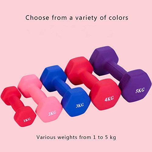 AJH Mancuernas de Neopreno (Elija de 1 kg 1,5 kg 2 kg 3 kg) para Ejercicios de Gimnasio en casa Fitness y Pesas para Mujeres y Hombres Mancuernas Anti-enrolladas AJH Mancuernas de Neopreno (Elija de 1 kg 1,5 kg 2 kg 3 kg) para Ejercicios de Gimnasio en casa Fitness y Pesas para Mujeres y Hombres Mancuernas Anti-enrolladas