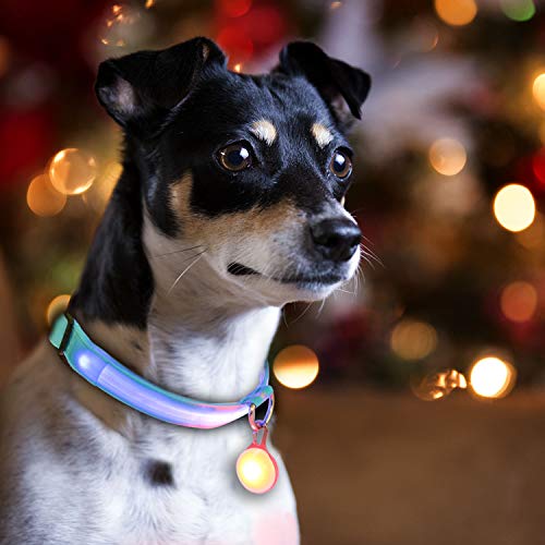 AJOXEL 6 PCS Luz para Perros LED con Collar Perro, Collar de Perro con Luz LED Collar de Seguridad LED para Perros, 3 Modos Intermitente Luces Batería Incluida con 6 Pilas de Repuesto