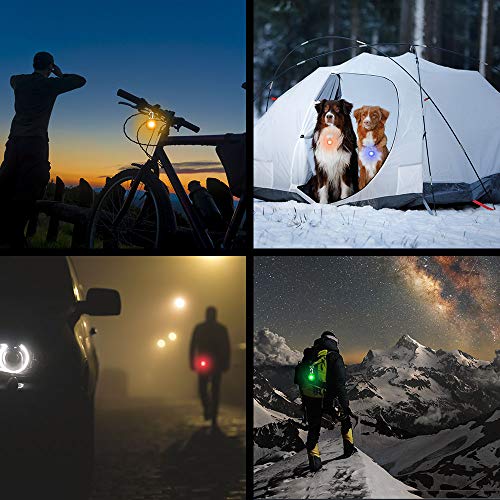 AJOXEL 6 PCS Luz para Perros LED con Collar Perro, Collar de Perro con Luz LED Collar de Seguridad LED para Perros, 3 Modos Intermitente Luces Batería Incluida con 6 Pilas de Repuesto AJOXEL 6 PCS Luz para Perros LED con Collar Perro, Collar de Perro con Luz LED Collar de Seguridad LED para Perros, 3 Modos Intermitente Luces Batería Incluida con 6 Pilas de Repuesto