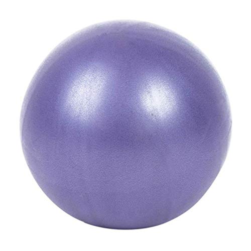 Alarmclocker8B Equipo de Gimnasia Ejercicio Equilibrio Entrenador en casa Equilibrio de Calor Pelota de Gimnasia Profesional Fitness Pelota de Yoga Pilates Azul