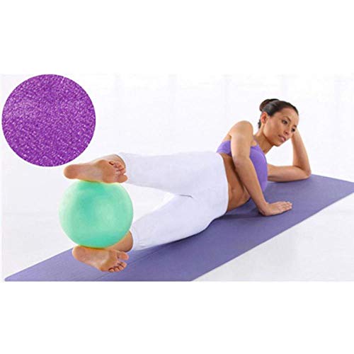 Alarmclocker8B Equipo de Gimnasia Profesional Pelota de Ejercicios Balance de Ejercicios Entrenador en el hogar vainas de Equilibrio Gimnasio Pilates Pelota de Yoga púrpura Alarmclocker8B Equipo de Gimnasia Profesional Pelota de Ejercicios Balance de Ejercicios Entrenador en el hogar vainas de Equilibrio Gimnasio Pilates Pelota de Yoga púrpura