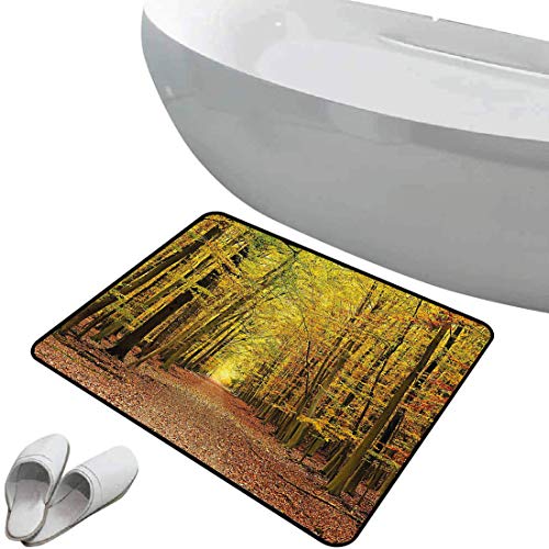 Alfombra de baño antideslizante de felpudo Caídas de otoño Alfombrilla goma antideslizante Sendero en el bosque de otoño con hojas marchitas Escena dramática de la temporada romántica,multicolor,,Inte Alfombra de baño antideslizante de felpudo Caídas de otoño Alfombrilla goma antideslizante Sendero en el bosque de otoño con hojas marchitas Escena dramática de la temporada romántica,multicolor,,Inte