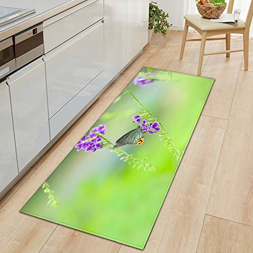 Alfombra de Cocina Felpudo de Entrada Hogar Sala de Estar Dormitorio Alfombra para niños Pasillo Balcón Baño Alfombra Larga A19 40x60cm