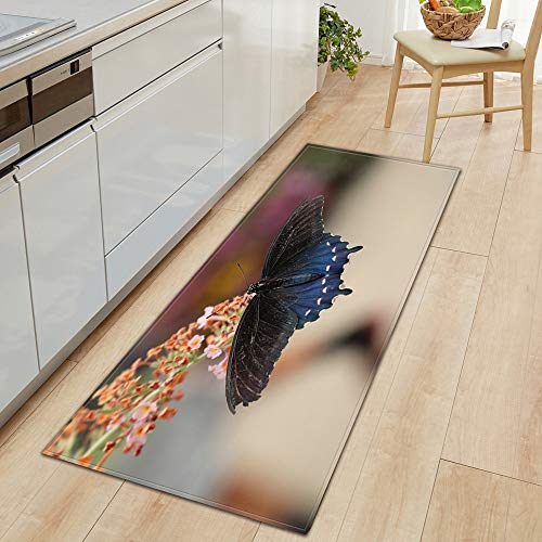 Alfombra de Cocina Felpudo de Entrada Hogar Sala de Estar Dormitorio Alfombra para niños Pasillo Balcón Baño Alfombra Larga A19 40x60cm