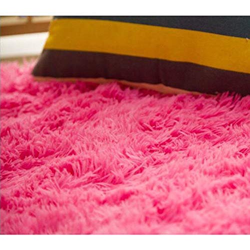 Alfombras Modernas Super Suaves de la Pelusa Lavable,Alfombra De Pelo Alto Y Largo Decorativo Sala de Estar y Dormitorio Rose Cabello 2.5cm 40 * 60cm