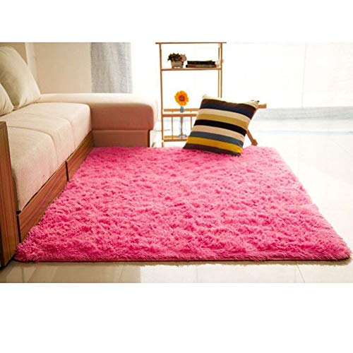 Alfombras Modernas Super Suaves de la Pelusa Lavable,Alfombra De Pelo Alto Y Largo Decorativo Sala de Estar y Dormitorio Rose Cabello 2.5cm 40 * 60cm