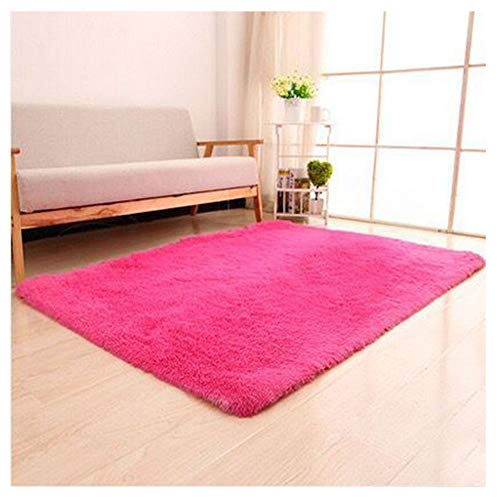 Alfombras Modernas Super Suaves de la Pelusa Lavable,Alfombra De Pelo Alto Y Largo Decorativo Sala de Estar y Dormitorio Rose Cabello 2.5cm 40 * 60cm