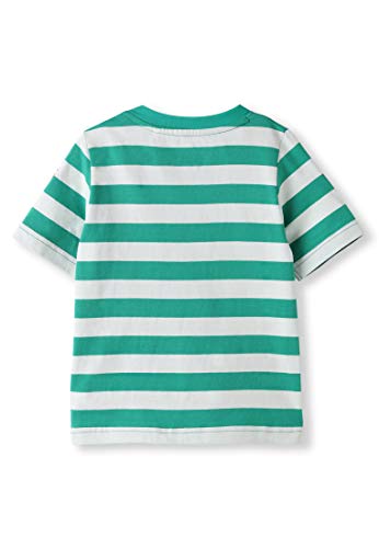 Algodón orgánico - Bebé Niña Niños pequeños - Camiseta de Manga Corta - Niñita Niñito (0-4 Años) (6M (3-6 Meses), Verde)