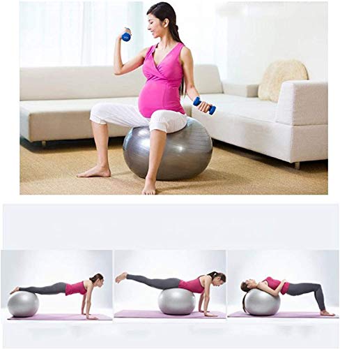 ALIPC Bola De Ejercicio Bola De Yoga con Diseño A Prueba De Fugas Material Extra Grueso Anti-explosión Bola Suiza De Fácil Inflado para Gimnasio En Casa Oficina Embarazo,Grey ALIPC Bola De Ejercicio Bola De Yoga con Diseño A Prueba De Fugas Material Extra Grueso Anti-explosión Bola Suiza De Fácil Inflado para Gimnasio En Casa Oficina Embarazo,Grey