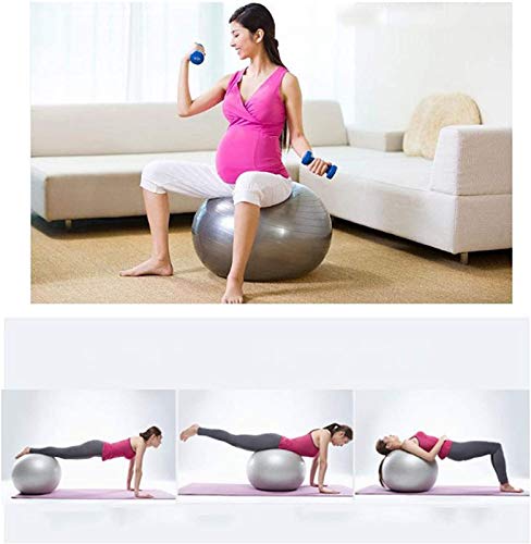 ALIPC Gym Fitness Ball Over Anti-Burst Grueso Estabilidad Fitness Pelota Suiza para Yoga Pilates Embarazo Parto,Pink