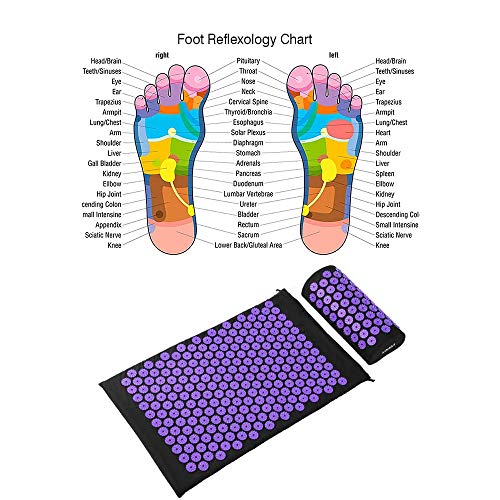 ALLOMN Colchoneta de Ejercicios, Esterilla de Yoga Gruesa Colchoneta de Masaje de Yoga para el Dolor Muscular del Cuello Alivio de la Migraña Mujeres Hombres Aptitud Entrenamiento Casa (Púrpura) ALLOMN Colchoneta de Ejercicios, Esterilla de Yoga Gruesa Colchoneta de Masaje de Yoga para el Dolor Muscular del Cuello Alivio de la Migraña Mujeres Hombres Aptitud Entrenamiento Casa (Púrpura)