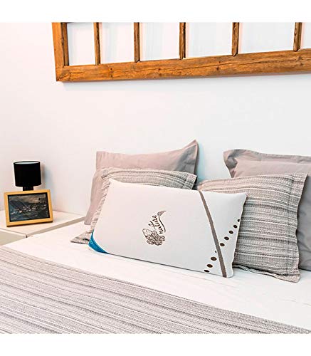 Almohada viscoelástica beneficiosa para la Salud por su fabricación con cáscara de Almendra y Hueso de Aceituna. Recolax Visco Nature (135 cm) Almohada viscoelástica beneficiosa para la Salud por su fabricación con cáscara de Almendra y Hueso de Aceituna. Recolax Visco Nature (135 cm)