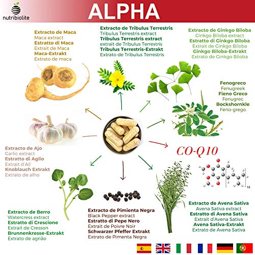 Alpha - Fuerza + Energía + Masa Muscular Suplemento Deportivo con Fenogreco Ginkgo Biloba Tribulus Terrestris Maca CoQ10 Piperina Avena Sativa