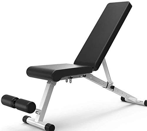 ALYR Banco de Pesas Ajustable, Banco con MusculacióN Multiusos Banco de Abdominales/Banco de Abdominales/Tablero Supino/Banco Fitness para Whole Body Ejercicio,Silver