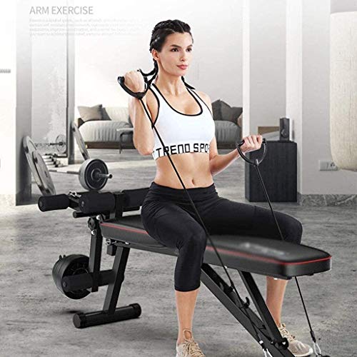 ALYR Plegable Banco de Pesas, Banco con MusculacióN Ajustable Banco de Abdominales Multiusos Banco de Entrenamiento/Tablero Supino/Banco Fitness para Whole Body Ejercicio,Black_162x48x51cm ALYR Plegable Banco de Pesas, Banco con MusculacióN Ajustable Banco de Abdominales Multiusos Banco de Entrenamiento/Tablero Supino/Banco Fitness para Whole Body Ejercicio,Black_162x48x51cm