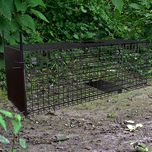 Amagabeli Garden Home Trampa Viva 78x26x29cm Trampa para Animales como una Gran Trampa de Marta Trampa para Gatos Trampa para Zorros Trampa para Ratas con trampilla Amagabeli Garden Home Trampa Viva 78x26x29cm Trampa para Animales como una Gran Trampa de Marta Trampa para Gatos Trampa para Zorros Trampa para Ratas con trampilla