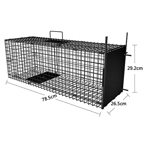 Amagabeli Garden Home Trampa Viva 78x26x29cm Trampa para Animales como una Gran Trampa de Marta Trampa para Gatos Trampa para Zorros Trampa para Ratas con trampilla