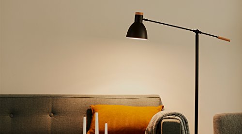AmazonBasics Bombilla LED Esférica E27, 14W (equivalente a 100W), Blanco Cálido - 6 unidades AmazonBasics Bombilla LED Esférica E27, 14W (equivalente a 100W), Blanco Cálido - 6 unidades