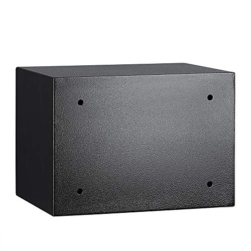 AmazonBasics - Caja fuerte (14L), color negro