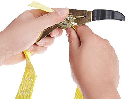 AmazonBasics - Correa para trinquete - Paquete de 4 AmazonBasics - Correa para trinquete - Paquete de 4