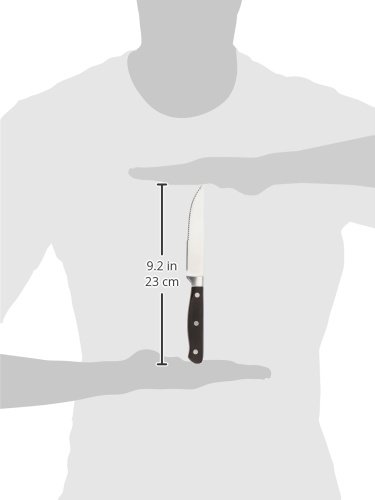 AmazonBasics - Juego de 8 cuchillos de carne