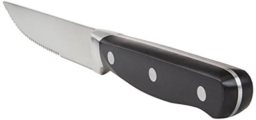 AmazonBasics - Juego de 8 cuchillos de carne