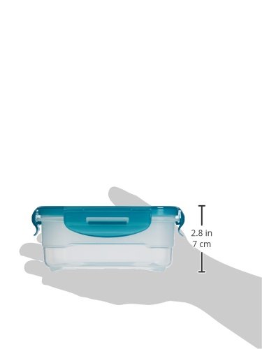 AmazonBasics: Juego de almacenamiento de comida de 3 unidades, 3 x 0,80 L AmazonBasics: Juego de almacenamiento de comida de 3 unidades, 3 x 0,80 L