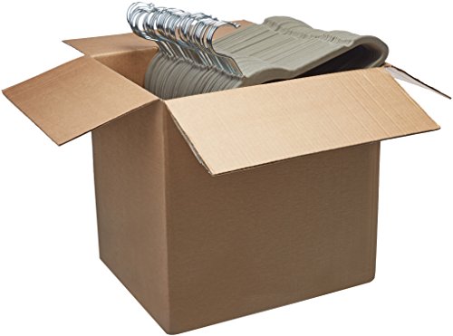 AmazonBasics - Perchas de terciopelo para trajes - Paquete de 100, Gris AmazonBasics - Perchas de terciopelo para trajes - Paquete de 100, Gris