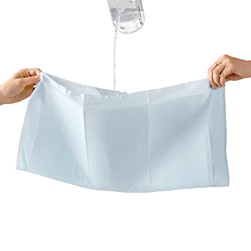AmazonBasics - Toallitas de entrenamiento para mascotas (tamaño regular, 150 unidades) AmazonBasics - Toallitas de entrenamiento para mascotas (tamaño regular, 150 unidades)