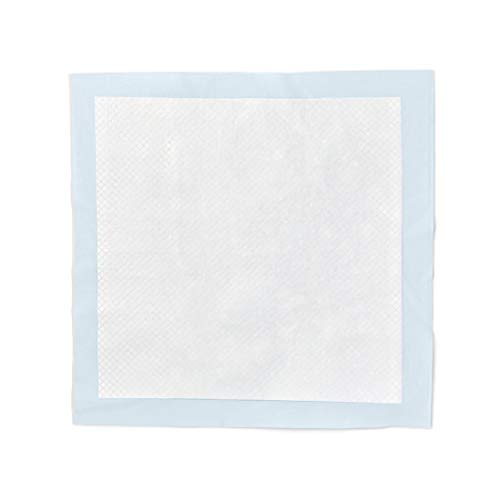 AmazonBasics - Toallitas de entrenamiento para mascotas (tamaño regular, 150 unidades) AmazonBasics - Toallitas de entrenamiento para mascotas (tamaño regular, 150 unidades)