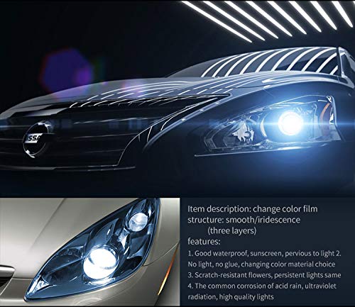 AMIGOB Film Faros Autoadhesivo Vinilo para Faros de Coche Antiniebla 30 x 200cm (Negro Claro) AMIGOB Film Faros Autoadhesivo Vinilo para Faros de Coche Antiniebla 30 x 200cm (Negro Claro)