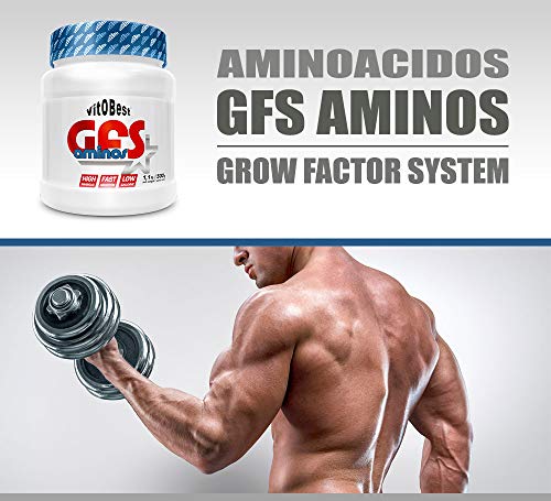 Aminoácidos Esenciales GFS AMINOS Powder Polvo, Cápsulas y viales - Fuerte Recuperador Muscular - Suplementos Deportivos - Vitobest (Wild Melon, 500g)