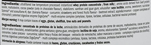 Amix Predator Protein 1 Kg Cookie Crema 1 1000 g Amix Predator Protein 1 Kg Cookie Crema 1 1000 g
